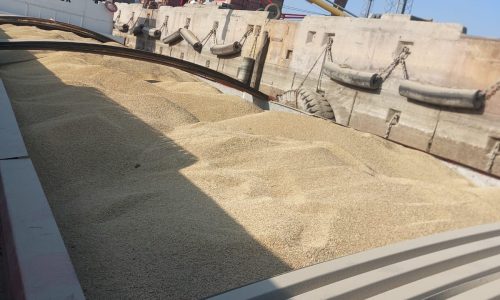 IMG-20231030-WA0010-b